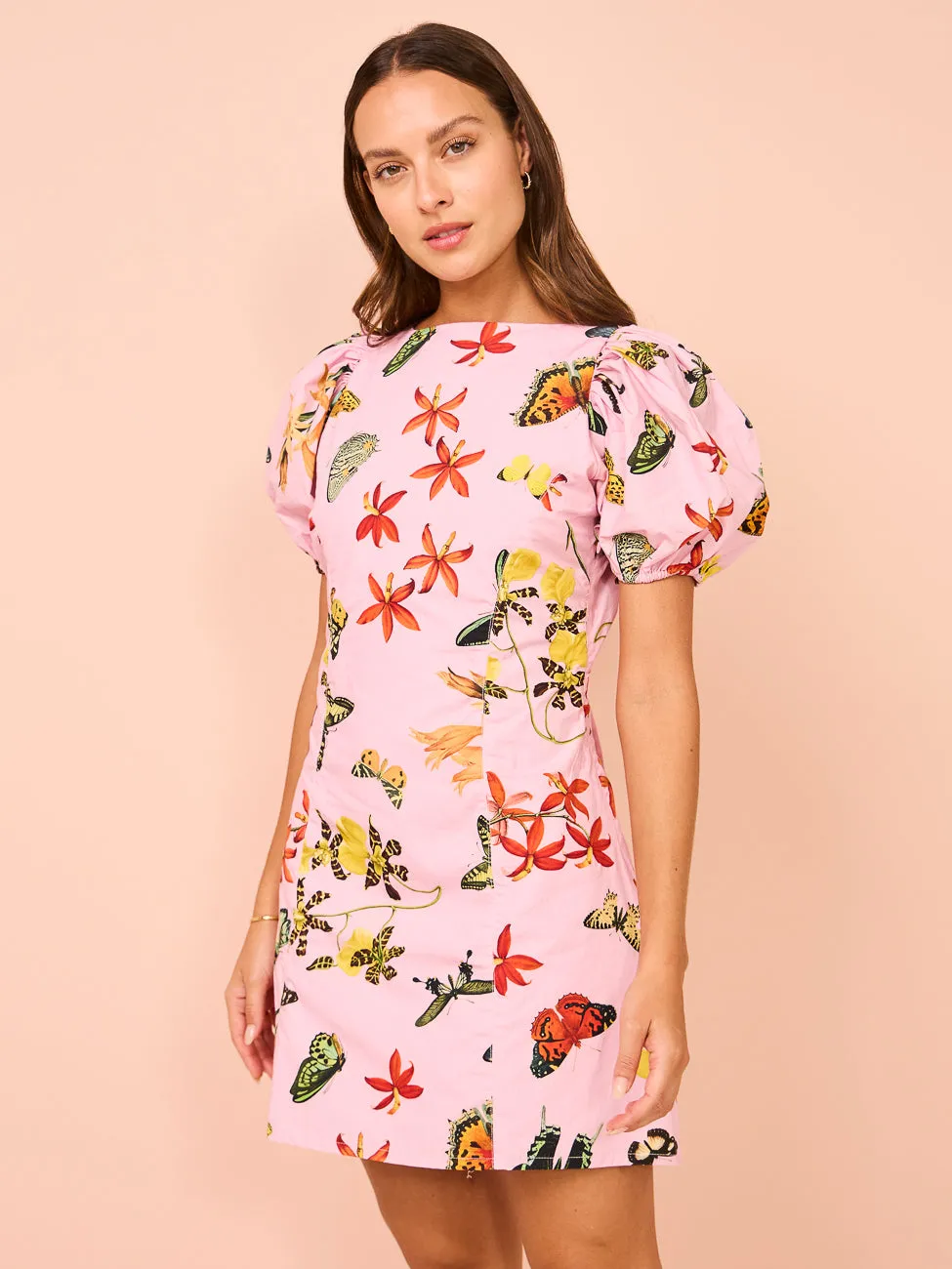 Ambra Maddalena Amelia Bubble Dress in Butterfly Garden