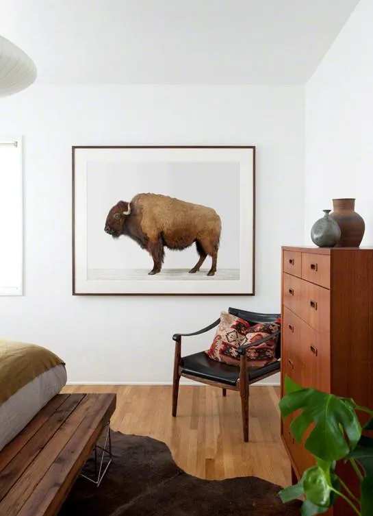 American Buffalo Print