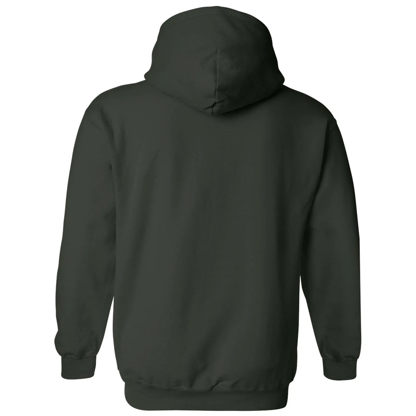 Colorado State Athletic Arch Hoodie - Forest