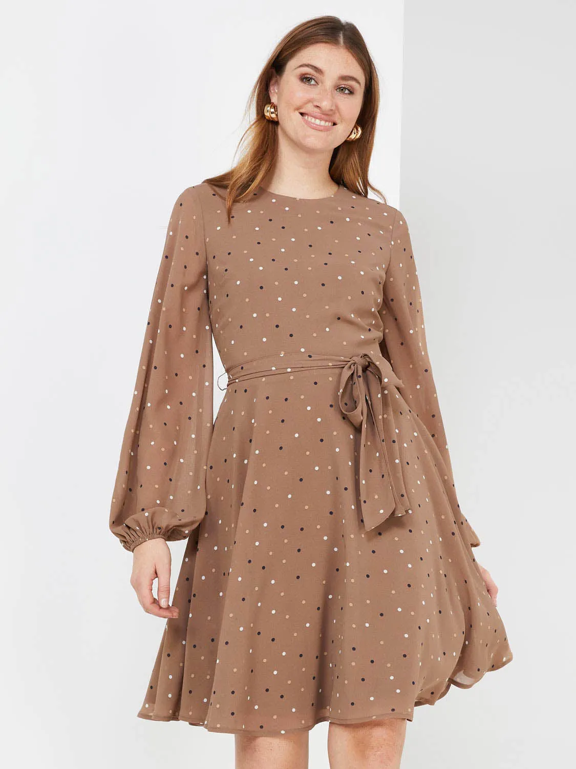 Dot Print Chiffon Fit & Flare Dress