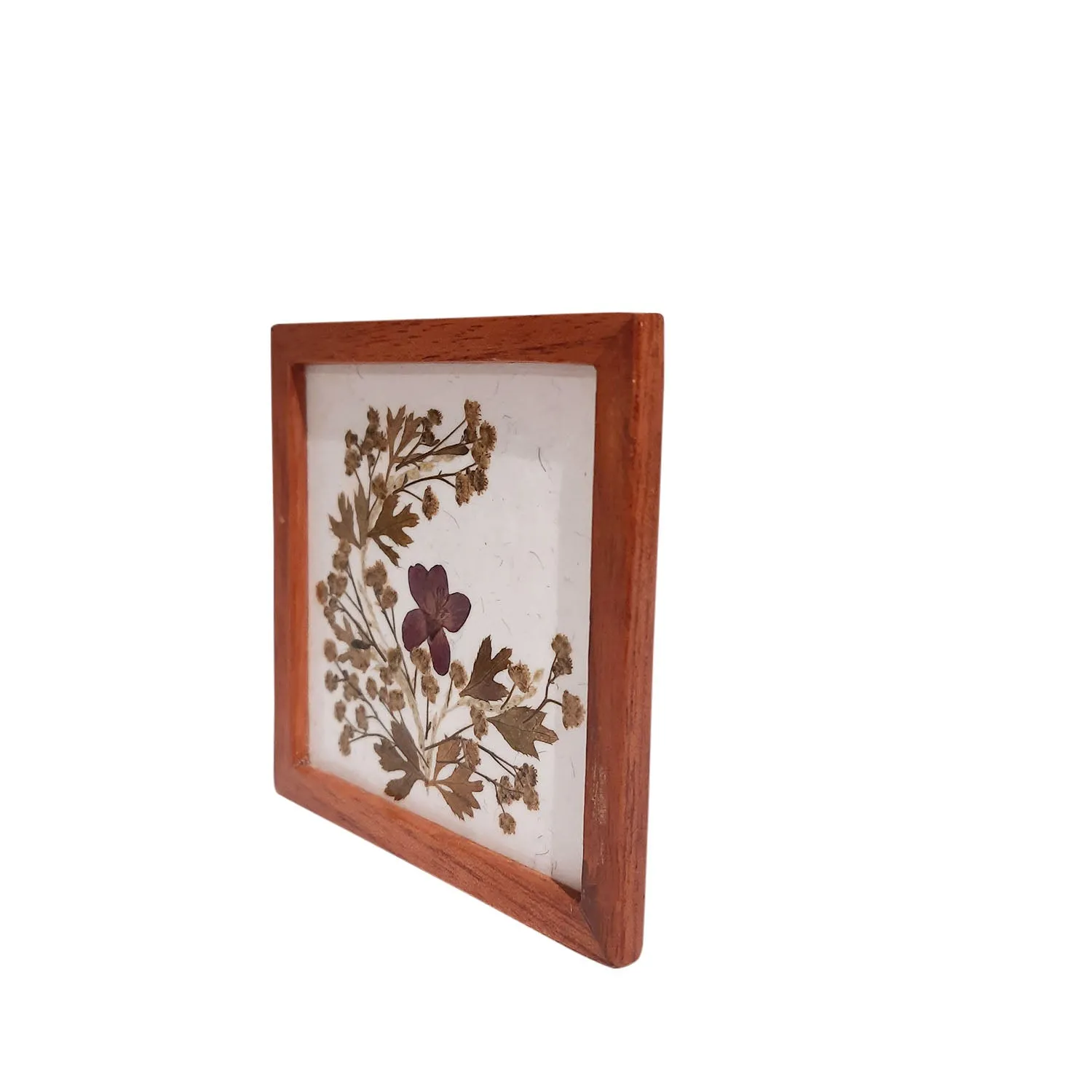 Flower Pressed Square Coaster (Purple Flower)