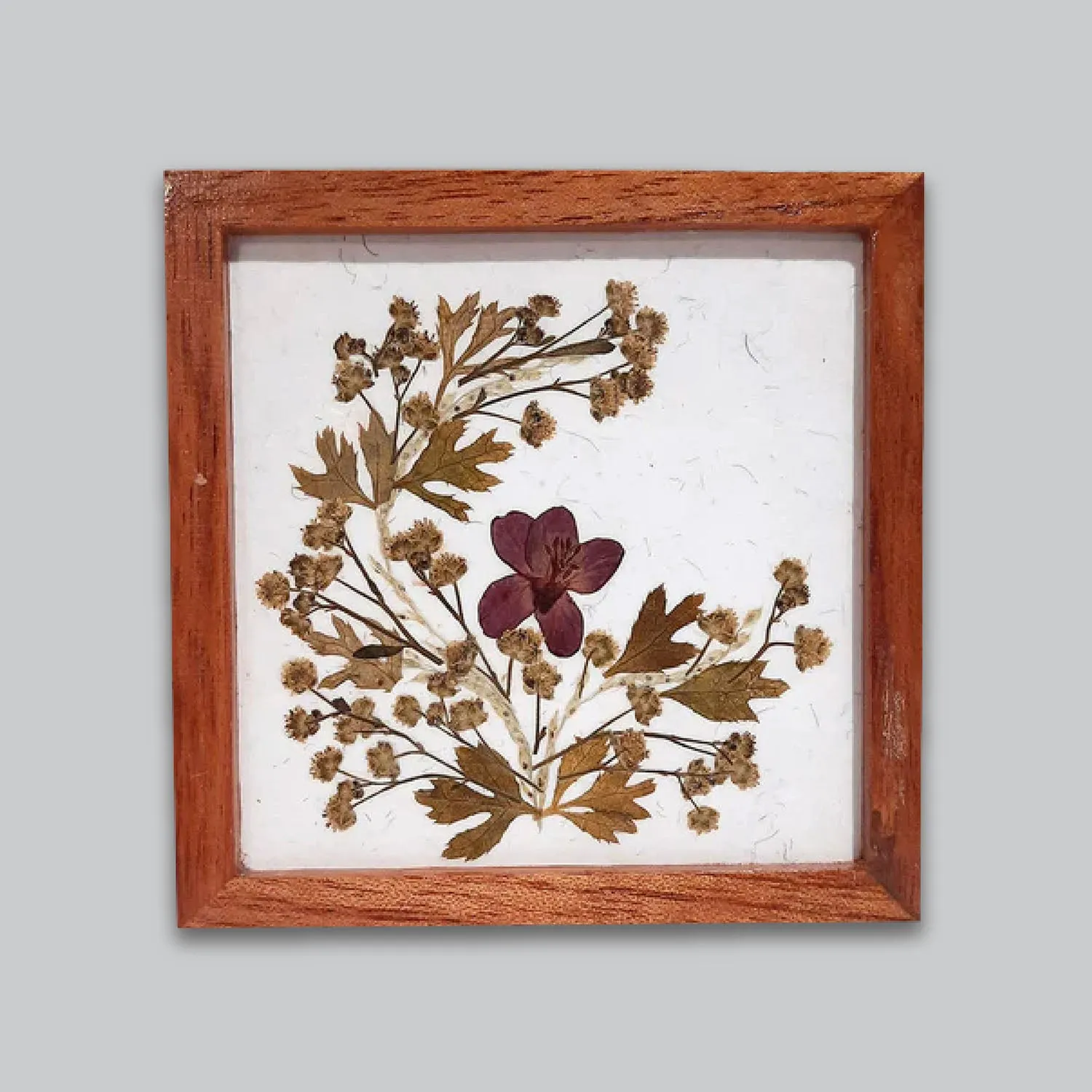 Flower Pressed Square Coaster (Purple Flower)