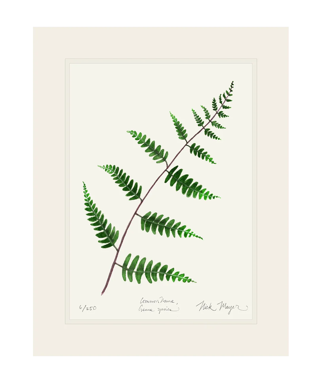 Goldie's Wood Fern Print