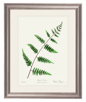 Goldie's Wood Fern Print