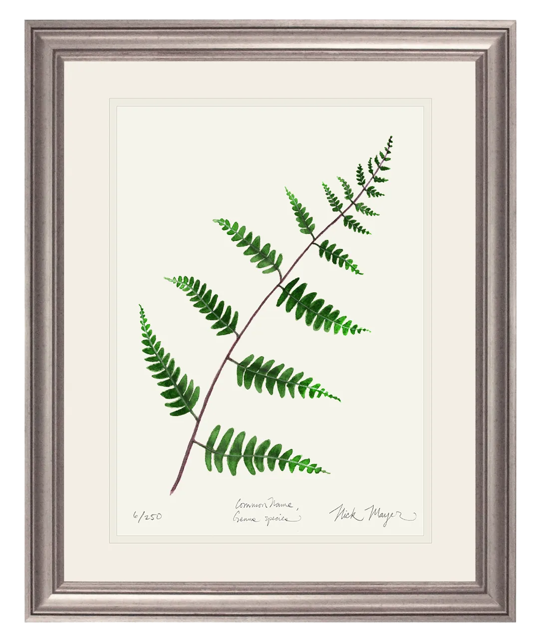 Goldie's Wood Fern Print