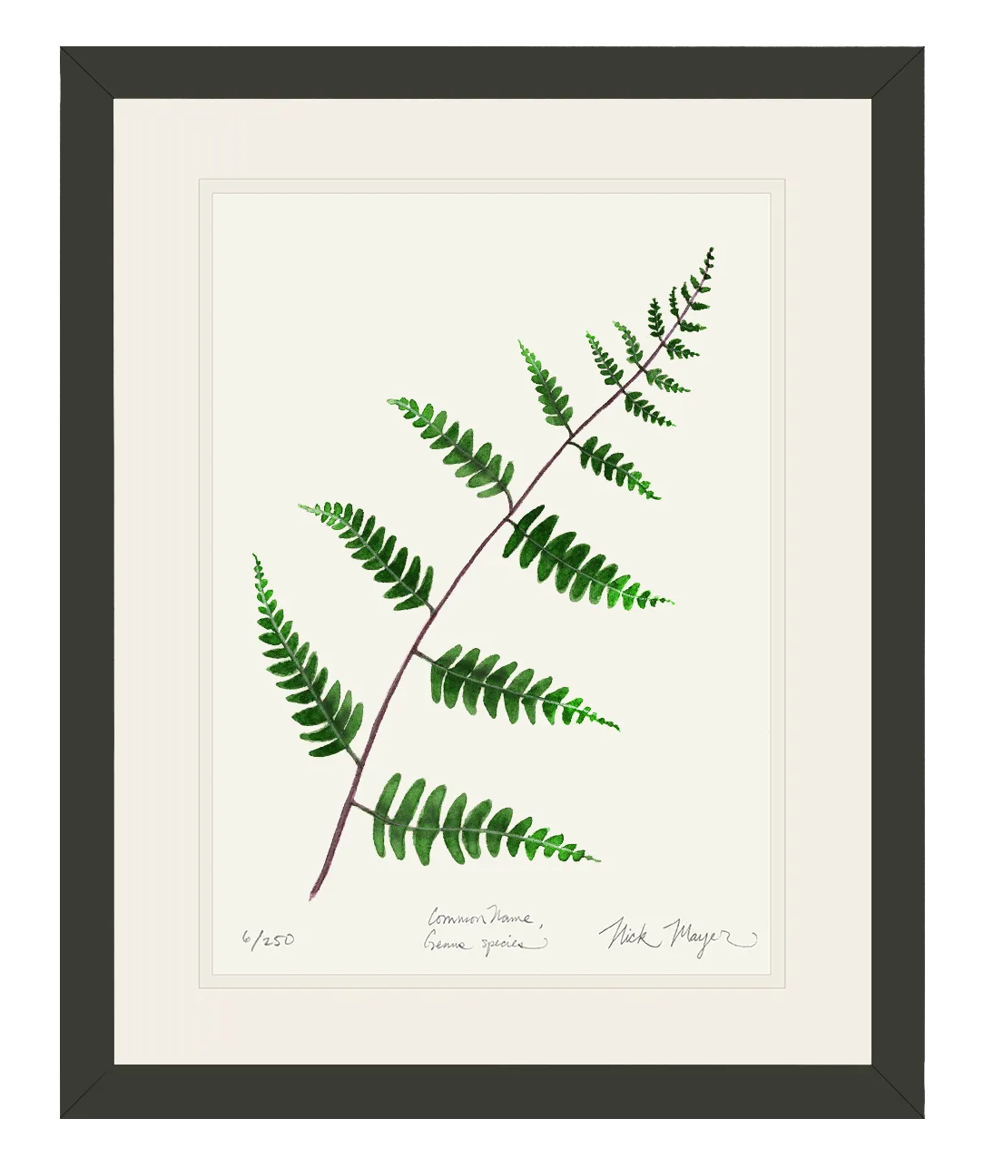 Goldie's Wood Fern Print