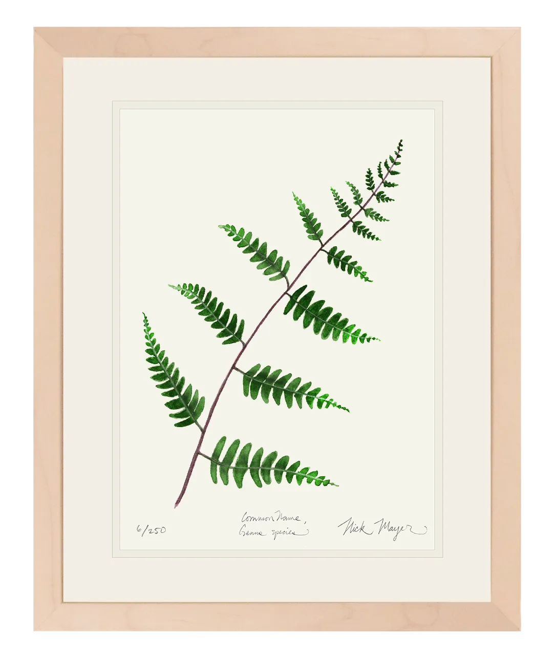 Goldie's Wood Fern Print