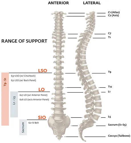 PROCARE Back Support 10" Criss Cross