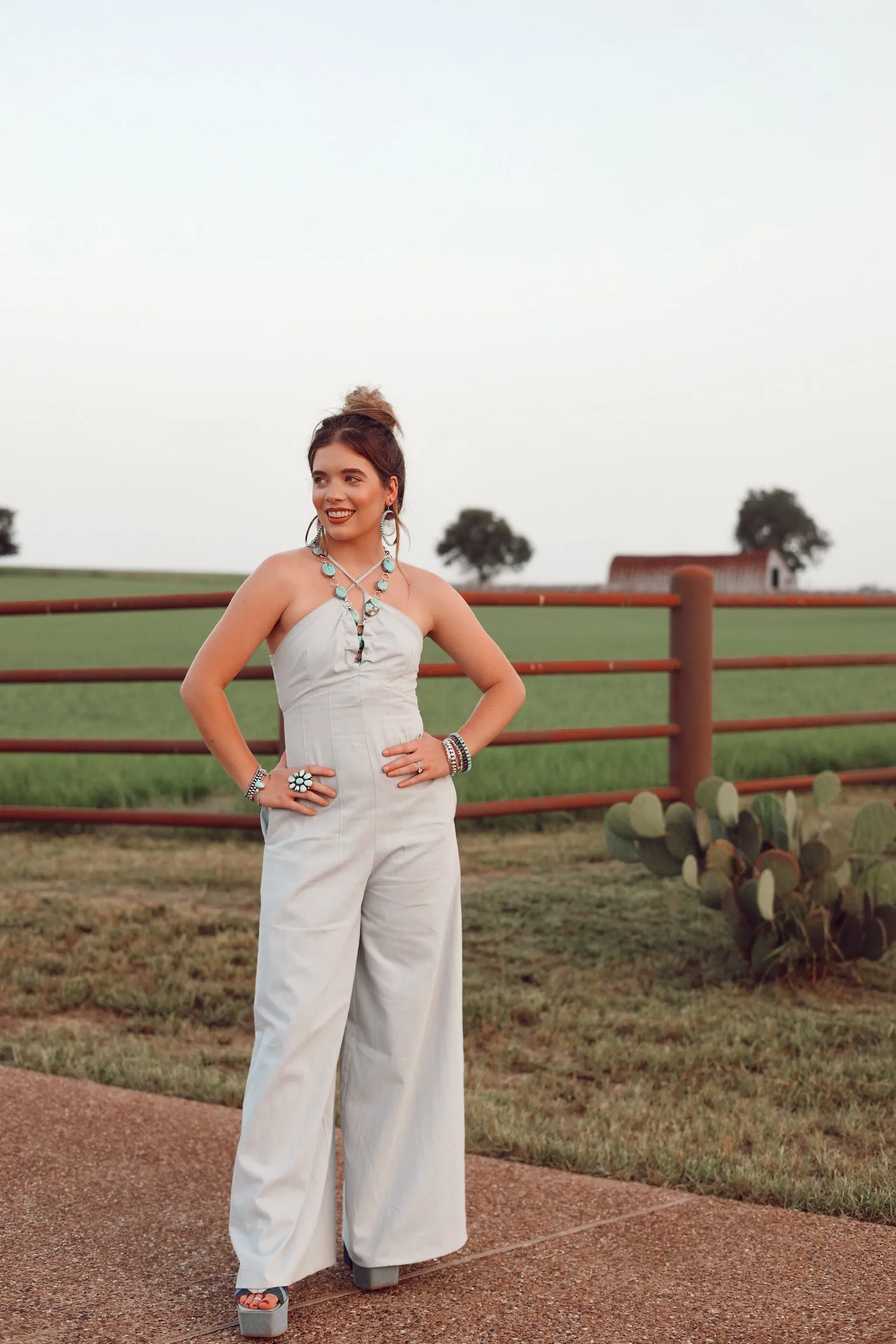 The Dumas Denim Jumpsuit