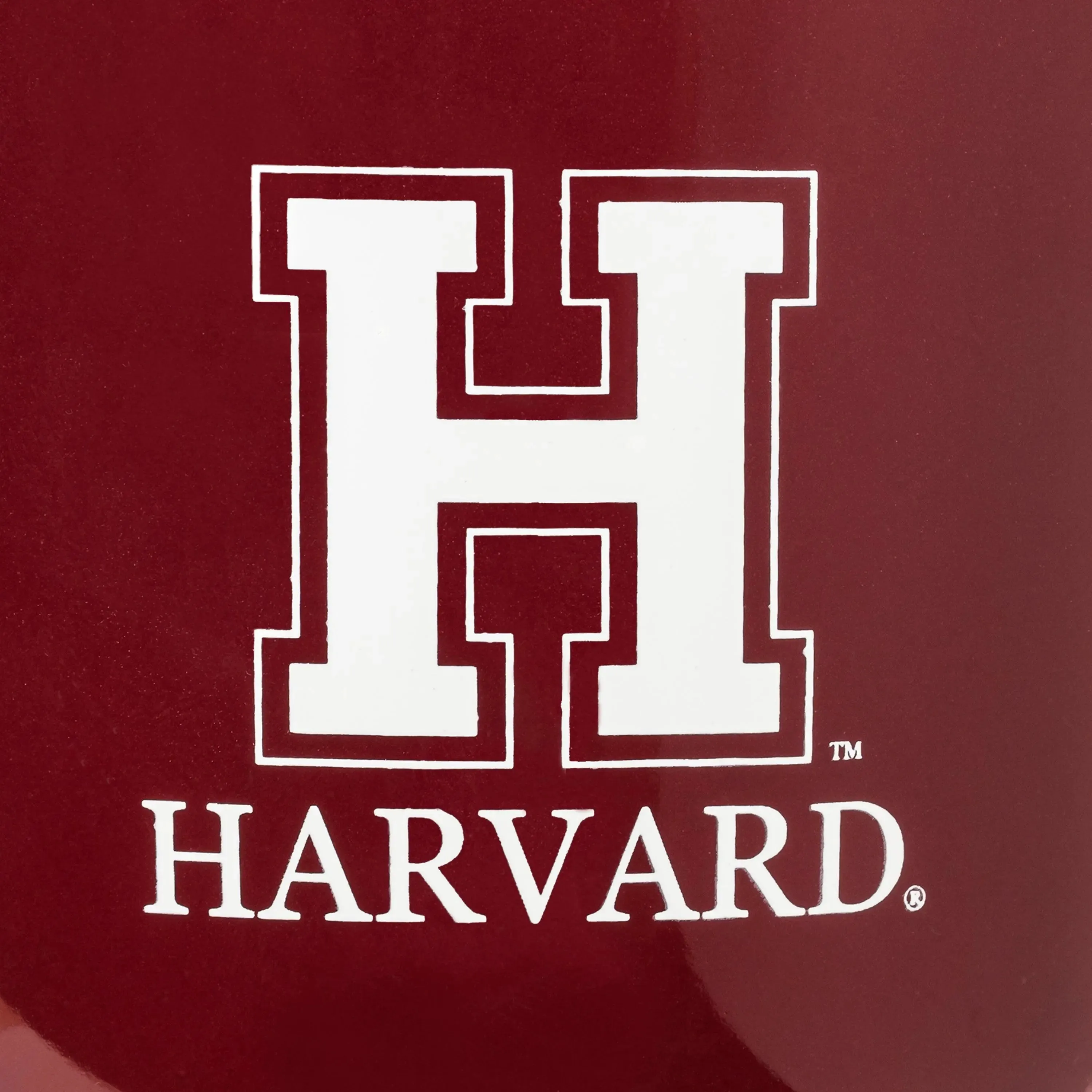 The Red Harvard Mug